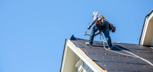 Best Storm Damage Roof Repair  in Alto, GA